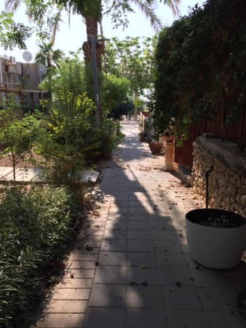 הבית של דרורי Neve Zohar Exteriör bild